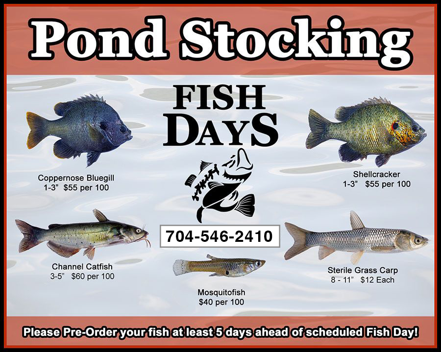 pond stocking through lowrys, fish information as found in article below