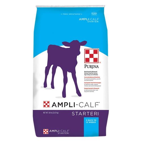 purina ampli-calf starter feed