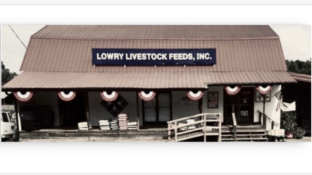 vintage photo of the original Lowry's store, front view