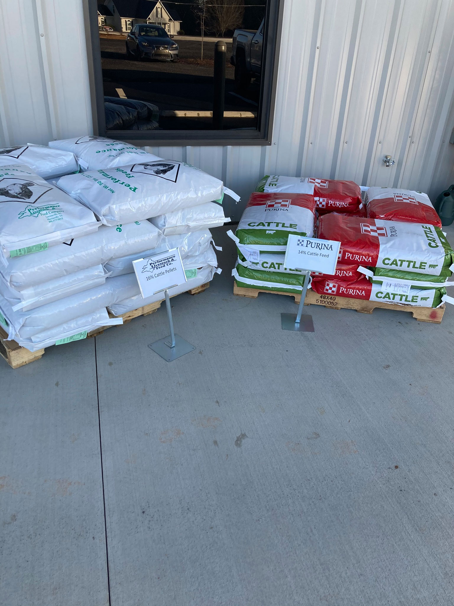 cattle feed
