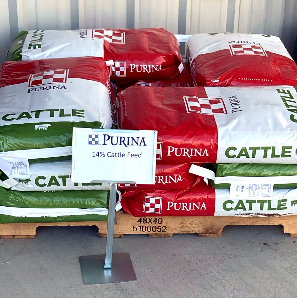 Purina cattle feed