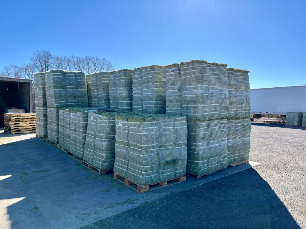 compressed alfalfa hay at lowry's store