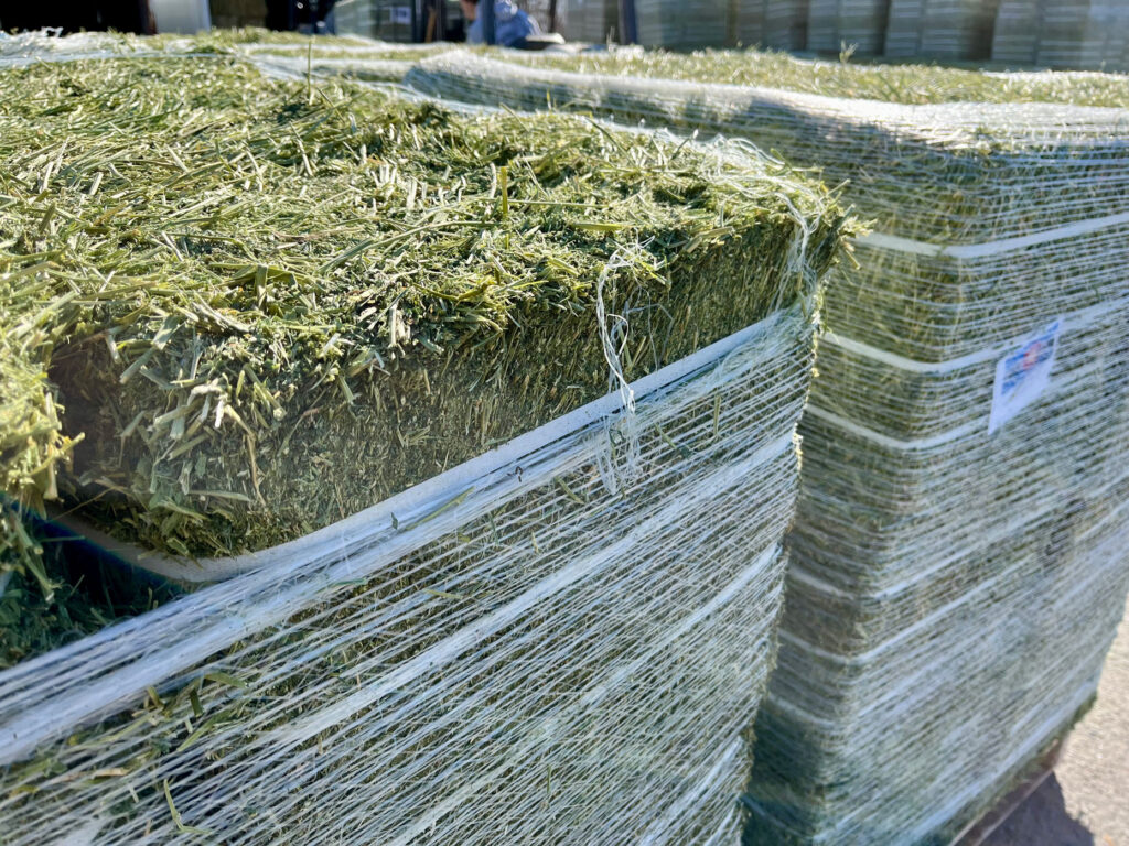 compressed alfalfa hay