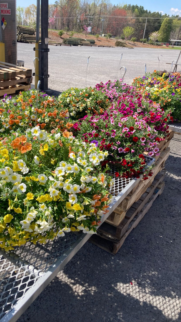 flower baskets at lowrys store in harmony, nc