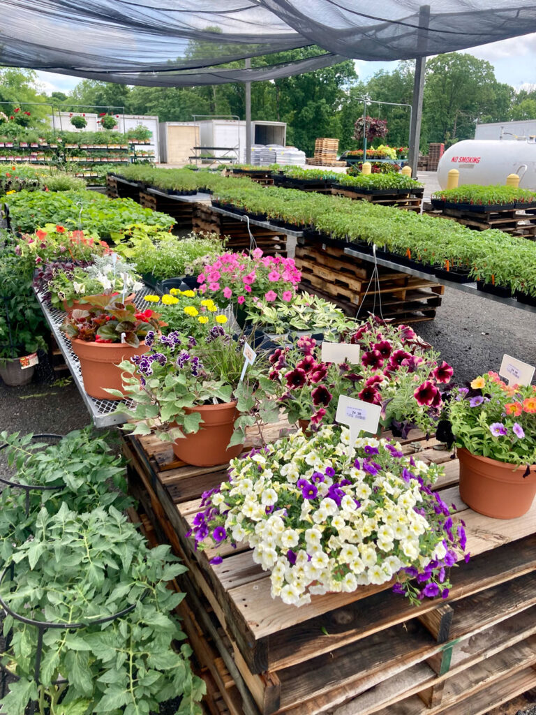 flowers at Lowry's Livestock Feed Store