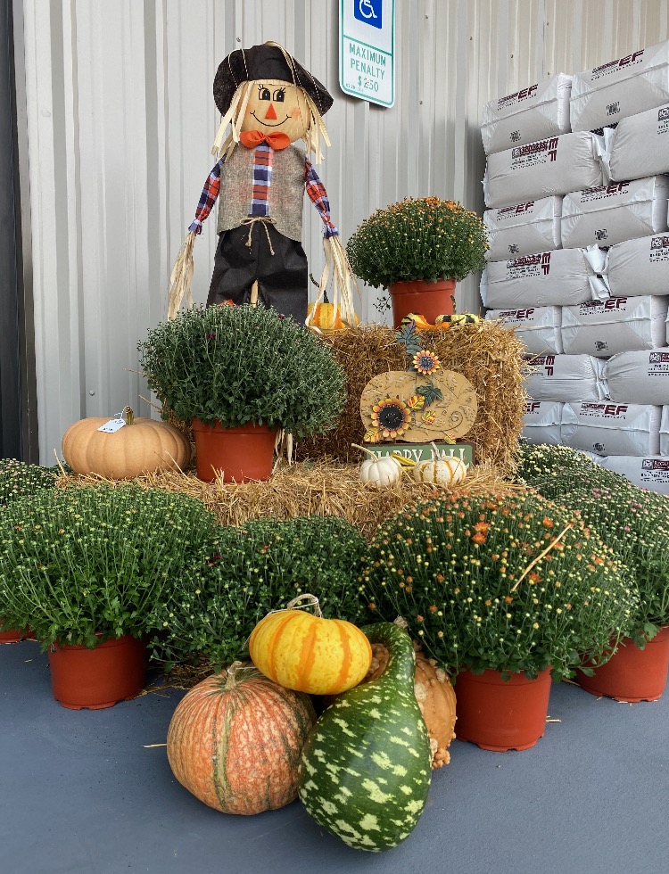 fall decor outside lowrys store in harmony nc